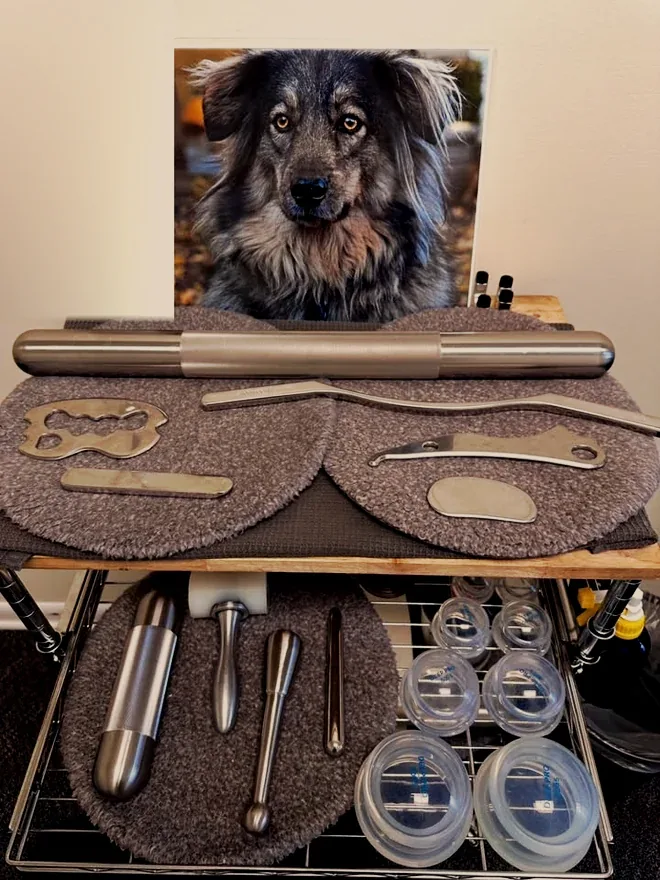 The tool cart at Achieve Chiropractic &mdash; steel bars, instruments and cupping set